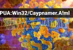 PUA:Win32/Caypnamer.A!ml